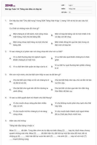 Bài tập Tuần 14: Tiếng sáo diều có đáp án