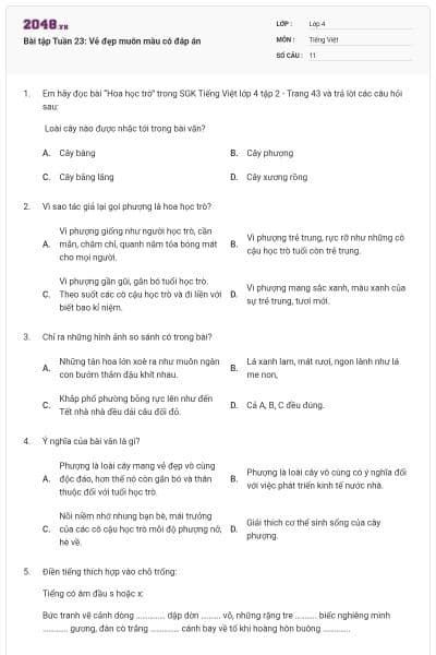 Bài tập Tuần 23: Vẻ đẹp muôn màu có đáp án