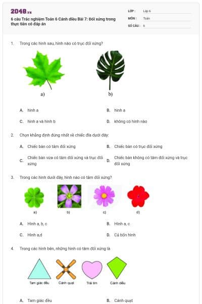 6 câu Trắc nghiệm Toán 6 Cánh diều Bài 7: Đối xứng trong thực tiễn có đáp án