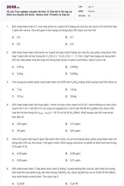 40 câu Trắc nghiệm chuyên đề Hóa 12 Chủ đề 8: Ôn tập và kiểm tra chuyên đề Amin- Amino Axit- Protein có đáp án