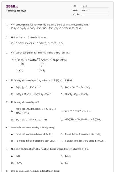 14 Bài tập rèn luyện