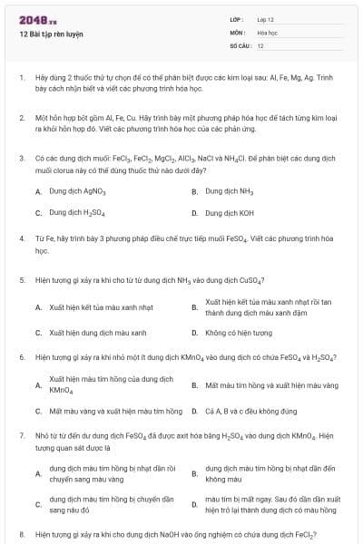 12 Bài tập rèn luyện