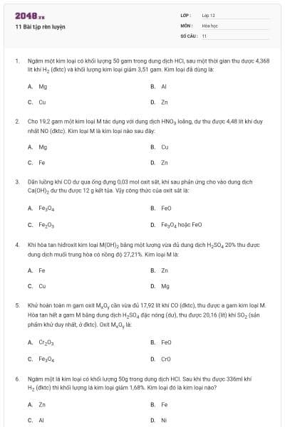 11 Bài tập rèn luyện