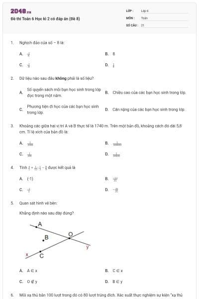 Đề thi Toán 6 Học kì 2 có đáp án (Đề 8)