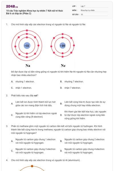 10 câu Trắc nghiệm Khoa học tự nhiên 7 Kết nối tri thức Bài 6 có đáp án (Phần 2)