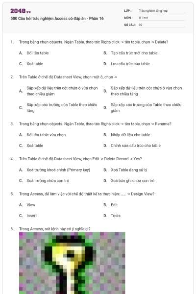 500 Câu hỏi trắc nghiệm Access có đáp án - Phần 16