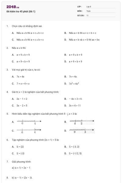 Đề kiểm tra 45 phút (Đề 1)