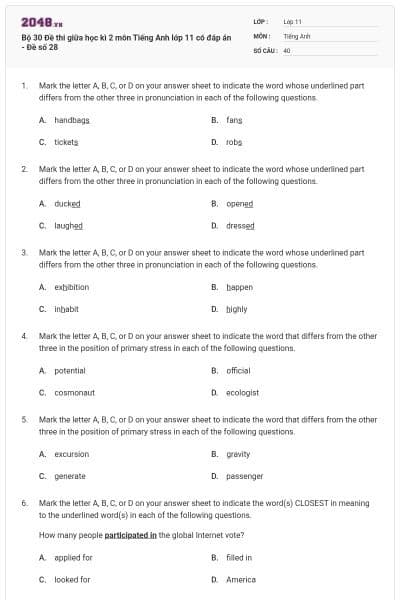 Bộ 30 Đề thi giữa học kì 2 môn Tiếng Anh lớp 11 có đáp án - Đề số 28