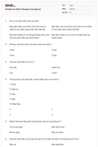 Đề kiểm tra Sinh 6 Chương 2 (có đáp án)