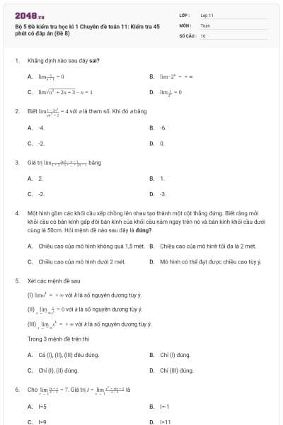 Bộ 5 Đề kiểm tra học kì 1 Chuyên đề toán 11: Kiểm tra 45 phút có đáp án (Đề 8)
