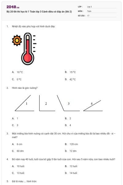 Bộ 20 Đề thi học kì 1 Toán lớp 3 Cánh diều có đáp án (Đề 2)