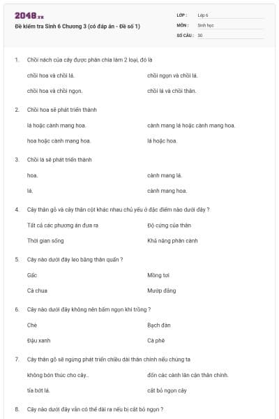 Đề kiểm tra Sinh 6 Chương 3 (có đáp án - Đề số 1)