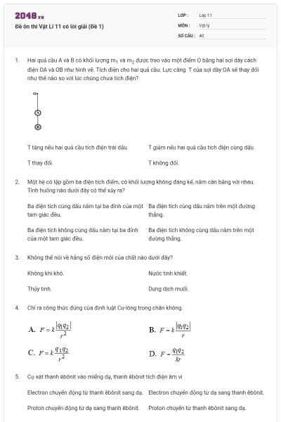 Đề ôn thi Vật Lí 11 có lời giải (Đề 1)
