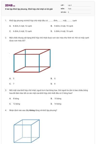 8 bài tập Khối lập phương. Khối hộp chữ nhật có lời giải