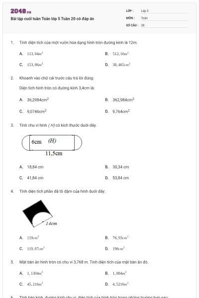 Bài tập cuối tuần Toán lớp 5 Tuần 20 có đáp án