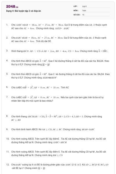 Dạng 4: Bài luyện tập 2 có đáp án