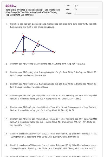 Dạng 3: Bài luyện tập 2 có đáp án dạng 1: Các Trường Hợp Đòng Dạng Của Tam Giác Vuông Suy Ra Từ Các Trường Hợp Đòng Dạng Của Tam Giác