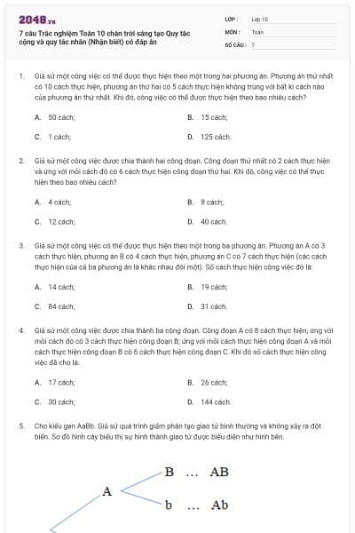 7 câu Trắc nghiệm Toán 10 chân trời sáng tạo Quy tắc cộng và quy tắc nhân (Nhận biết) có đáp án