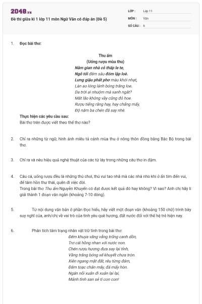 Đề thi giữa kì 1 lớp 11 môn Ngữ Văn có đáp án (Đề 5)