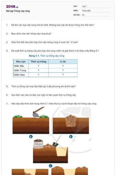 Bài tập Trồng cây rừng