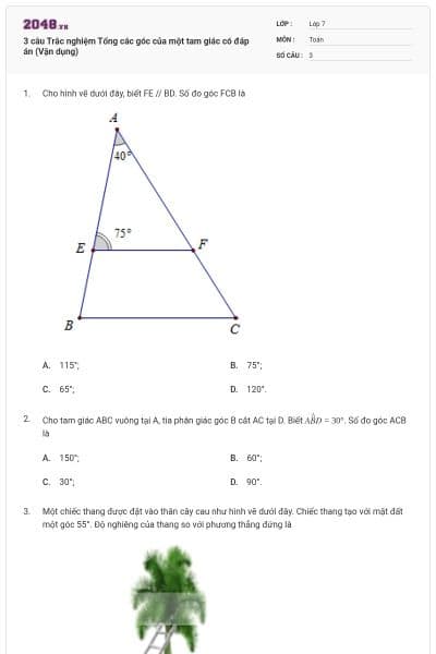 3 câu Trắc nghiệm Tổng các góc của một tam giác có đáp án (Vận dụng)