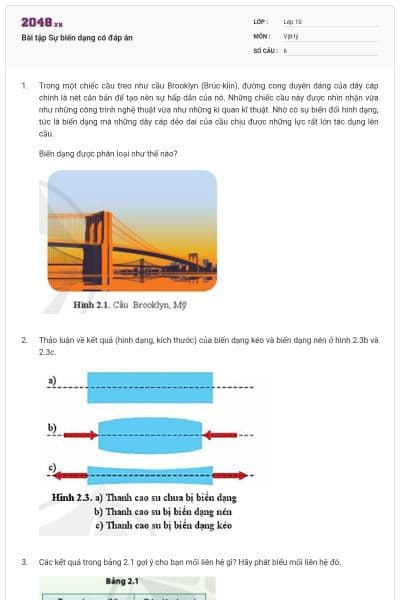 Bài tập Sự biến dạng có đáp án