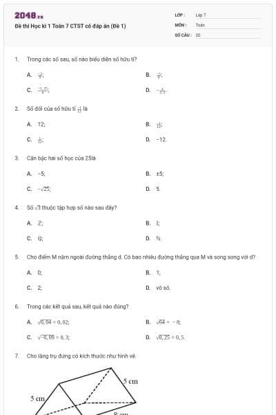 Đề thi Học kì 1 Toán 7 CTST có đáp án (Đề 1)