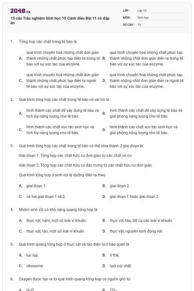 15 câu Trắc nghiệm Sinh học 10 Cánh diều Bài 11 có đáp án