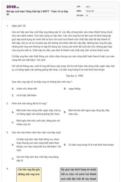 Bài tập cuối tuần Tiếng Việt lớp 3 KNTT - Tuần 16 có đáp án