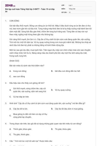 Bài tập cuối tuần Tiếng Việt lớp 3 KNTT - Tuần 19 có đáp án