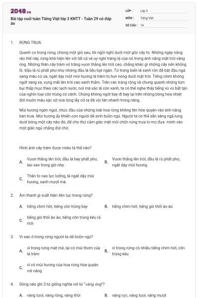 Bài tập cuối tuần Tiếng Việt lớp 3 KNTT - Tuần 29 có đáp án