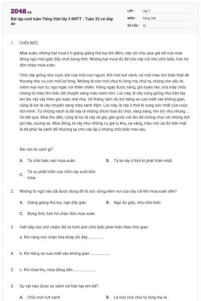 Bài tập cuối tuần Tiếng Việt lớp 3 KNTT - Tuần 32 có đáp án