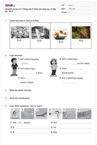 Đề kiểm tra học kì 2 Tiếng anh 3 Chân trời sáng tạo có đáp án - Đề 2