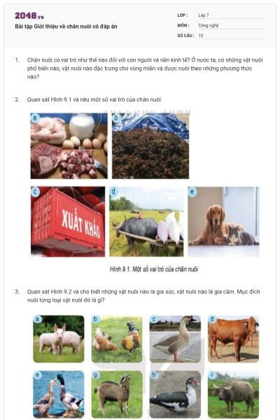 Bài tập Giới thiệu về chăn nuôi có đáp án