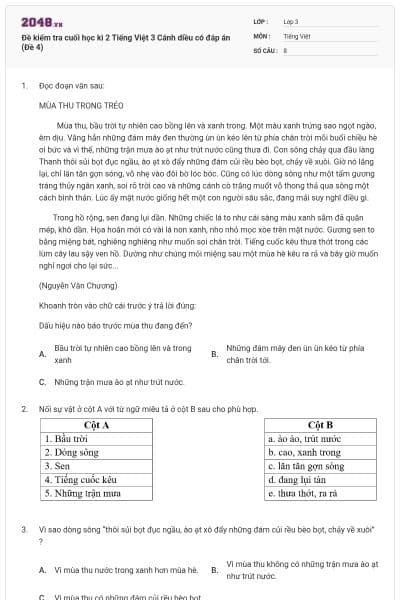 Đề kiểm tra cuối học kì 2 Tiếng Việt 3 Cánh diều có đáp án (Đề 4)
