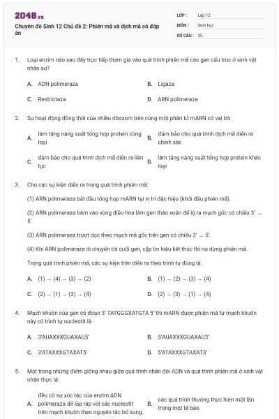 Chuyên đề Sinh 12 Chủ đề 2: Phiên mã và dịch mã có đáp án