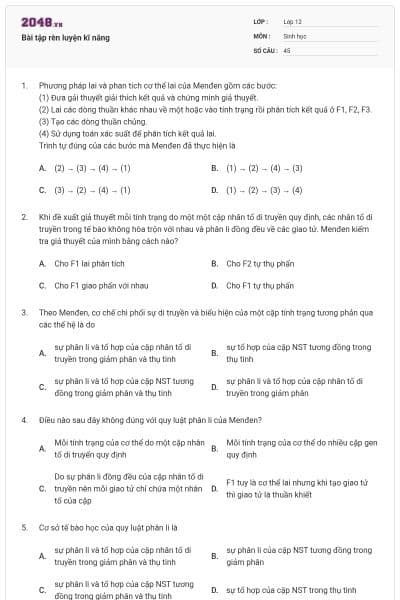 Bài tập rèn luyện kĩ năng