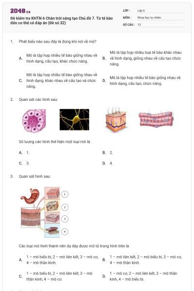 Đề kiểm tra KHTN 6 Chân trời sáng tạo Chủ đề 7. Từ tế bào đến cơ thể có đáp án (Đề số 32)