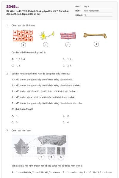 Đề kiểm tra KHTN 6 Chân trời sáng tạo Chủ đề 7. Từ tế bào đến cơ thể có đáp án (Đề số 33)