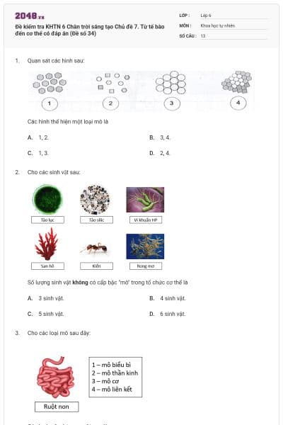 Đề kiểm tra KHTN 6 Chân trời sáng tạo Chủ đề 7. Từ tế bào đến cơ thể có đáp án (Đề số 34)