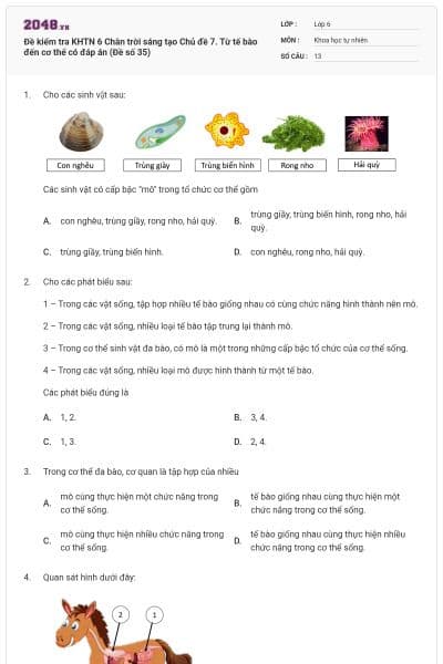 Đề kiểm tra KHTN 6 Chân trời sáng tạo Chủ đề 7. Từ tế bào đến cơ thể có đáp án (Đề số 35)