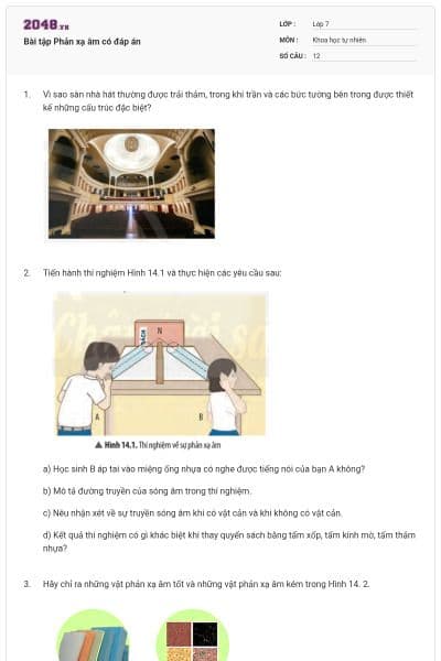 Bài tập Phản xạ âm có đáp án