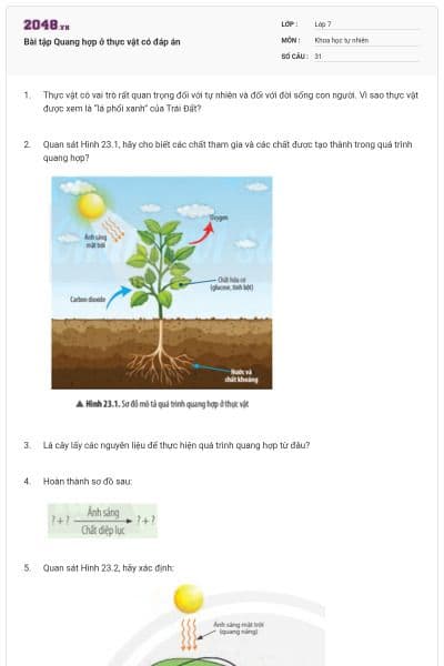 Bài tập Quang hợp ở thực vật có đáp án