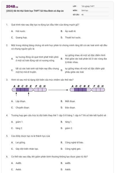 (2023) Đề thi thử Sinh học THPT Sở Hòa Bình có đáp án