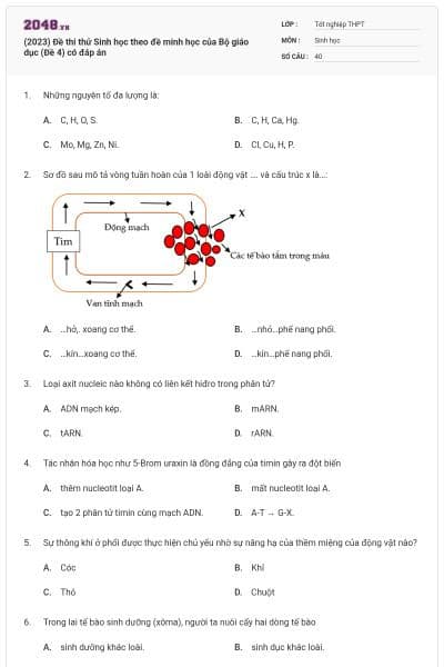 (2023) Đề thi thử Sinh học theo đề minh học của Bộ giáo dục (Đề 4) có đáp án