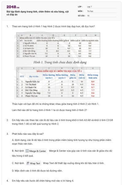 Bài tập Định dạng trang tính, chèn thêm và xóa hàng, cột có đáp án