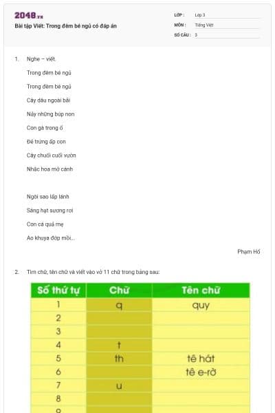 Bài tập Viết: Trong đêm bé ngủ có đáp án