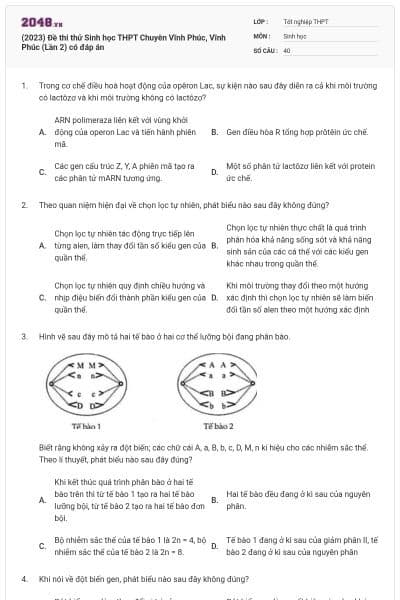 (2023) Đề thi thử Sinh học THPT Chuyên Vĩnh Phúc, Vĩnh Phúc (Lần 2) có đáp án