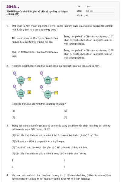 360 Bài tập Cơ chế di truyền và biến dị cực hay có lời giải chi tiết (P2)