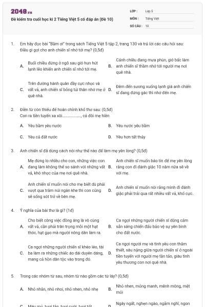 Đề kiểm tra cuối học kì 2 Tiếng Việt 5 có đáp án (Đề 10)